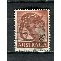 Австралия - 1959/1965 - Пятнистохвостая сумчатая куница 8Р - [Mi. 295x] - полная серия - 1 марка. Гашеная.  (Лот 9FA)-T25P8