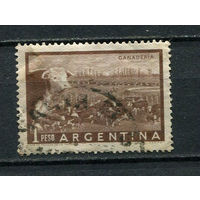 Аргентина - 1954/1959 - Крупный рогатый скот 1P - [Mi.624] - 1 марка. Гашеная.  (Лот 6EF)-T7P3