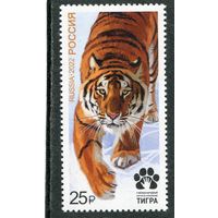 Россия 2022. Совместный выпуск стран участников форума по сохранению тигра