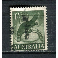 Австралия - 1959/1965 - Утконос 1Sh - [Mi.297] - 1 марка. Гашеная.  (Лот 10FA)-T25P8