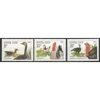 Домашние птицы СССР 1990 год (6223-6225) серия из 3-х марок