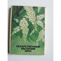 Лекарственные растения леса. 1991 год. 28 из 32 открыток