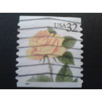 США 1997 стандарт, роза