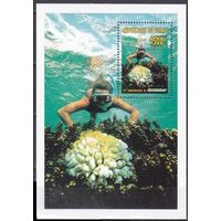 1996 Чад 1369/B260 Кораллы 9,50 евро