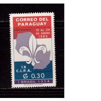 Парагвай-1965,(Мих. 1395)  **  , Скауты