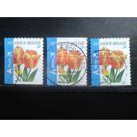 Бельгия 2005 Тюльпаны, разновидности из буклета