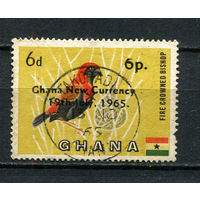 Гана - 1965 - Птица. Новая валюта. Надпечатка 6Р на 6Р - [Mi.228] - 1 марка. Гашеная.  (Лот 45CL)