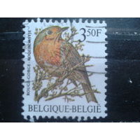 Бельгия 1986 Стандарт, птица 3,5 франка