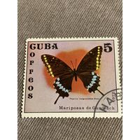 Куба 1972. Бабочки. Papillo cayguanabus. Марка из серии