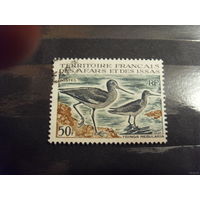 1967 Французская колония Территория Афаров и Иссу фауна птицы дорогая (5-4)