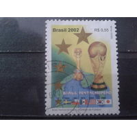 Бразилия 2002 Чемпионат мира по футболу, одиночка