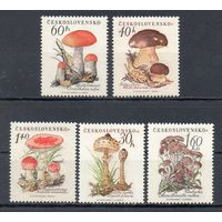 Грибы Чехословакия 1958 год серия из 5 марок