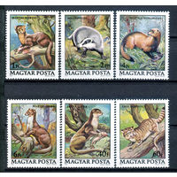Венгрия - 1979г. - Животные - полная серия, MNH, 1 марка с отпечатком на клее, 1 с полосами на клее [Mi 3384-3389] - 6 марок