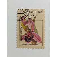 1991 СССР. Орхидеи. Офрис пчелоносная