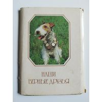 Наши верные друзья. 1987 год. 15 из 20 открыток. +3 бонусные некомплектные открытки собак