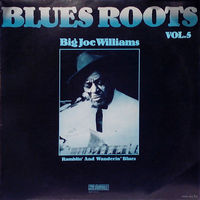 Big Joe Williams  -  Ramblin' And Wanderin' Blues - LP