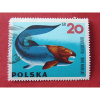 Польша 1966 г. Ископаемые животные. Динихтис.