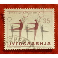 Югославия. Спорт. ( 1 марка ) 1959 года. 5-8.