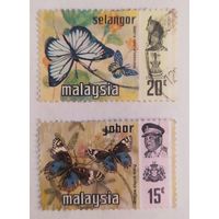 Малайзия, бабочки