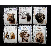 Польша 1989 г. Охотничьи собаки. Фауна, полная серия из 6 марок #0173-Ф1