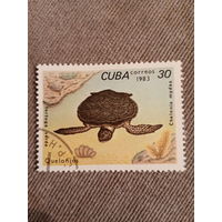 Куба 1983. Черепахи. Tortuga Verde