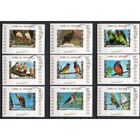 Птицы Умм-эль-Кайвайн ОАЭ 1973 год серия из 16 люкс блоков