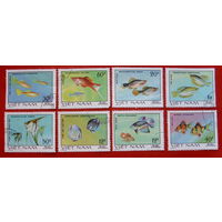 Вьетнам. Рыбы. ( 8 марок ) 1980 года.