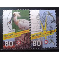 Нидерланды 1999 100 лет общества защиты птиц Полная серия