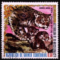 Кошки. Экваториальная Гвинея. 1976. Леопард. Марка из серии. Гаш.