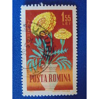 Румыния 1964 г. Цветы.