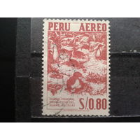 Перу, 1953. Птицы
