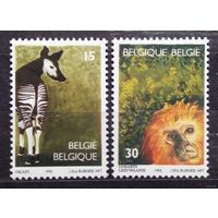 150 лет зоопарку Антверпена, Фауна Бельгия, 1992 год, 2 марки **