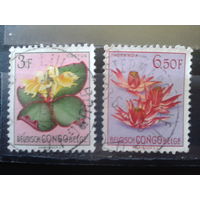 Конго, колония Бельгии 1952 Цветы