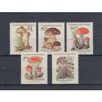 [1273] Чехословакия 1958. Грибы. СЕРИЯ MNH. Кат.30 е.