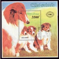 Блок и 7 марок 1990 год Вьетнам Собаки 78 2168-2174
