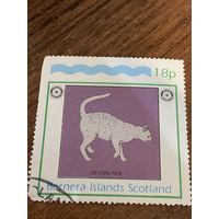 Шотландия 1984. Острова Бернера. Породы кошек. Devon Rex. Марка из серии