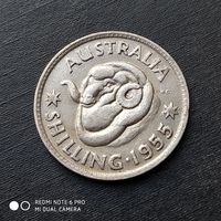 1 шиллинг 1955 г. Серебро 0.500.