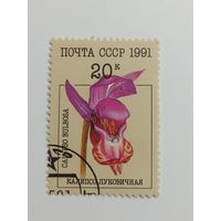 1991 СССР. Орхидеи. Калипсо луковичная