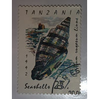 Танзания, ракушка