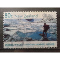 Новая Зеландия 1999 Весна, озеро, тает лед