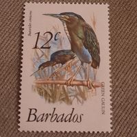 Барбадос 1979. Фауна. Птицы. Butorides Virescens