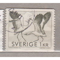 Птицы Фауна Швеция 1968 год  лот 1077