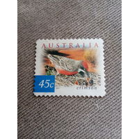 Австралия 2001. Птицы. Crimson Chat