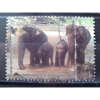Шри-Ланка 2003 Слоны