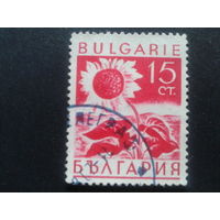 Болгария 1938 подсолнечник