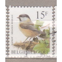Птицы Фауна Бельгия 1997 год лот 1072