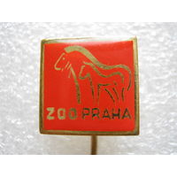 Зоопарк, Прага, лошадь, пони.