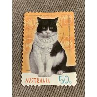 Австралия 2004. Породы домашних кошачьих. Марка из серии