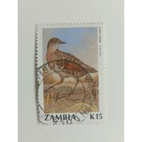 Замбия 1990. Птицы