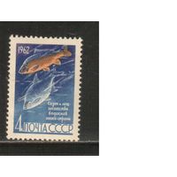 СССР-1962, (Заг.2645), * , Рыбы